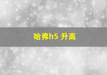 哈弗h5 升高